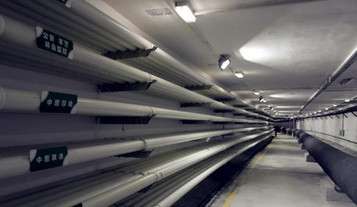 ɽ�|�ĳǵ��¾C�Ϲ����(xi��ng)Ŀ